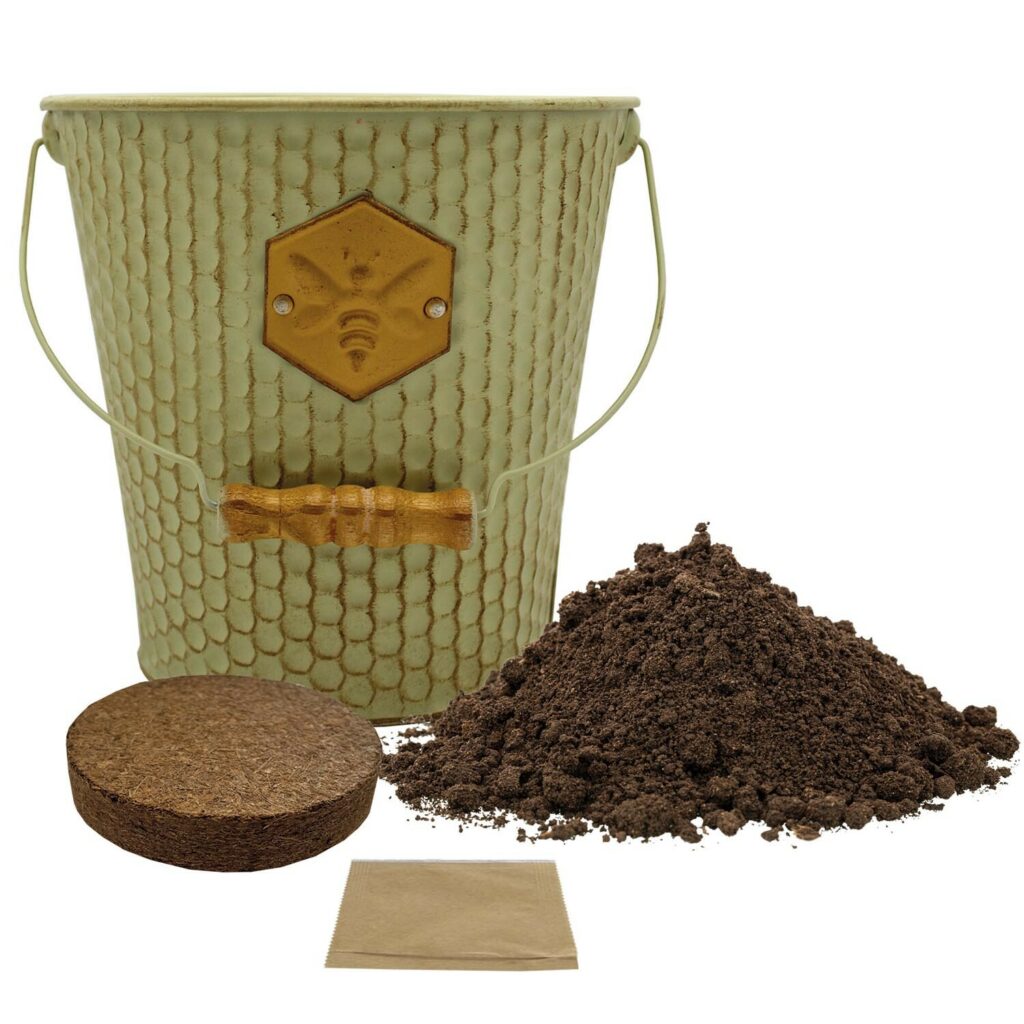 Bee Friends Honeycomb Bucket Wildflower Seed Grow Kit 5055128622837 2